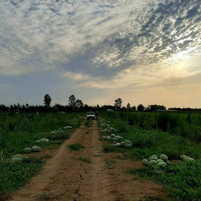 تصویر روستا