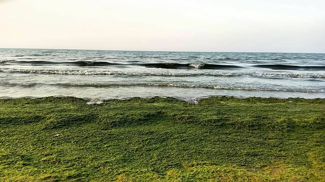 تصویر روستا